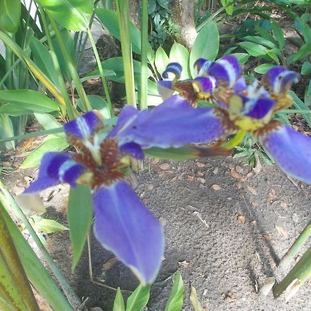 트란코주 Onca 1024 빌라 외부 사진